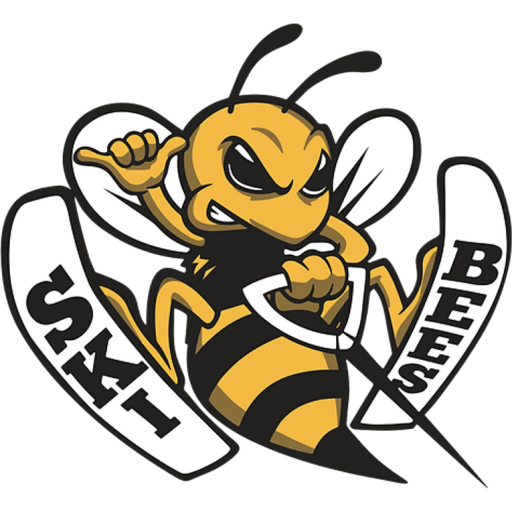 lake mcqueeney ski bees foundation site icon